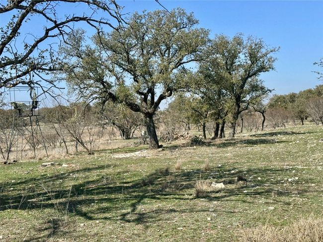 554 Us Highway 84 W, Home with 0 bedrooms, 0 bathrooms and null parking in Goldthwaite TX | Image 31