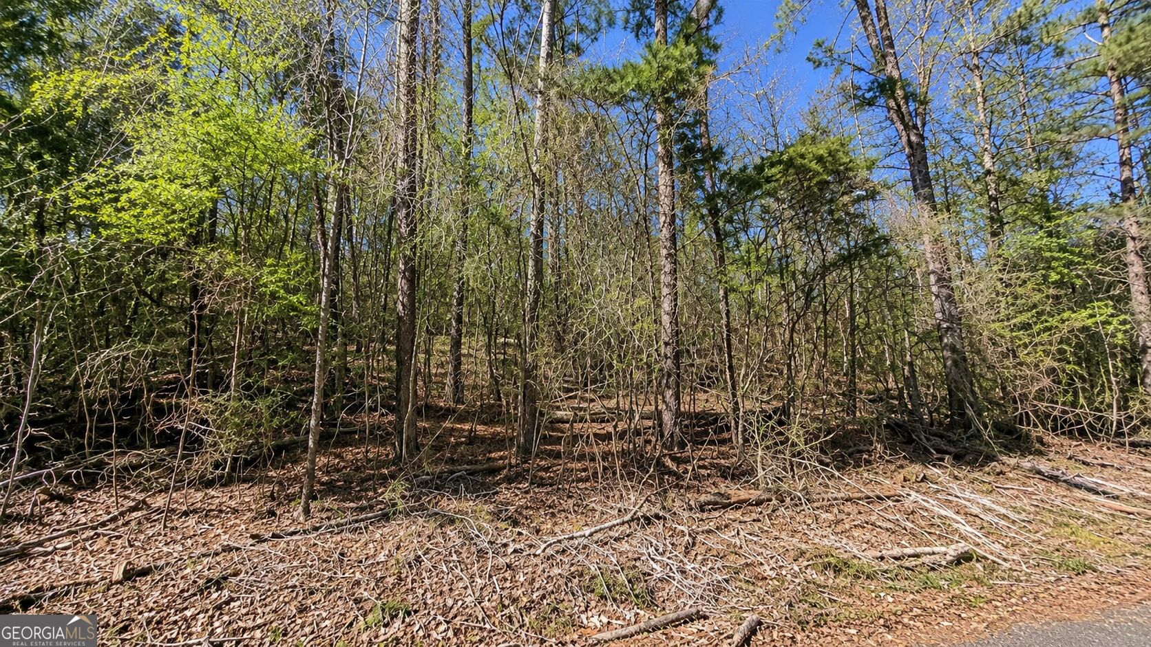 Land in Georgetown 3