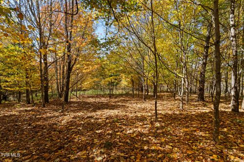 Tbd Modock Rd, Trade, TN, 37691 | Card Image