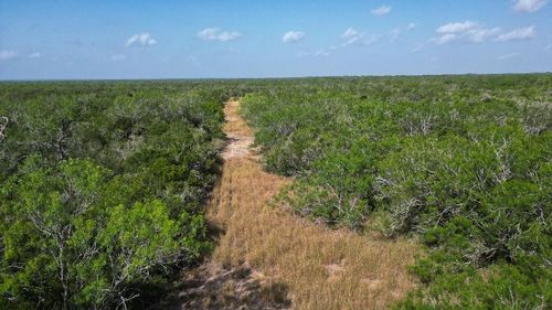 TBD Fm 624, George West, TX, 78022 | Card Image