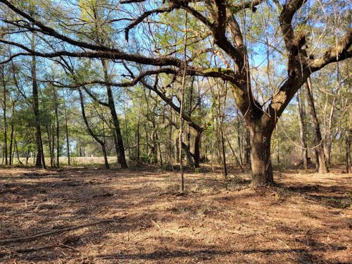 32-3.57ac Ne 315 Highway, Fort Mc Coy, FL, 32134 | Card Image