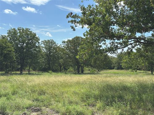570 Big Salty Dr, Springtown, TX, 76082-3975 | Card Image