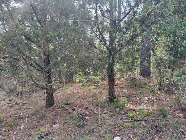 View of landscape | Image 7