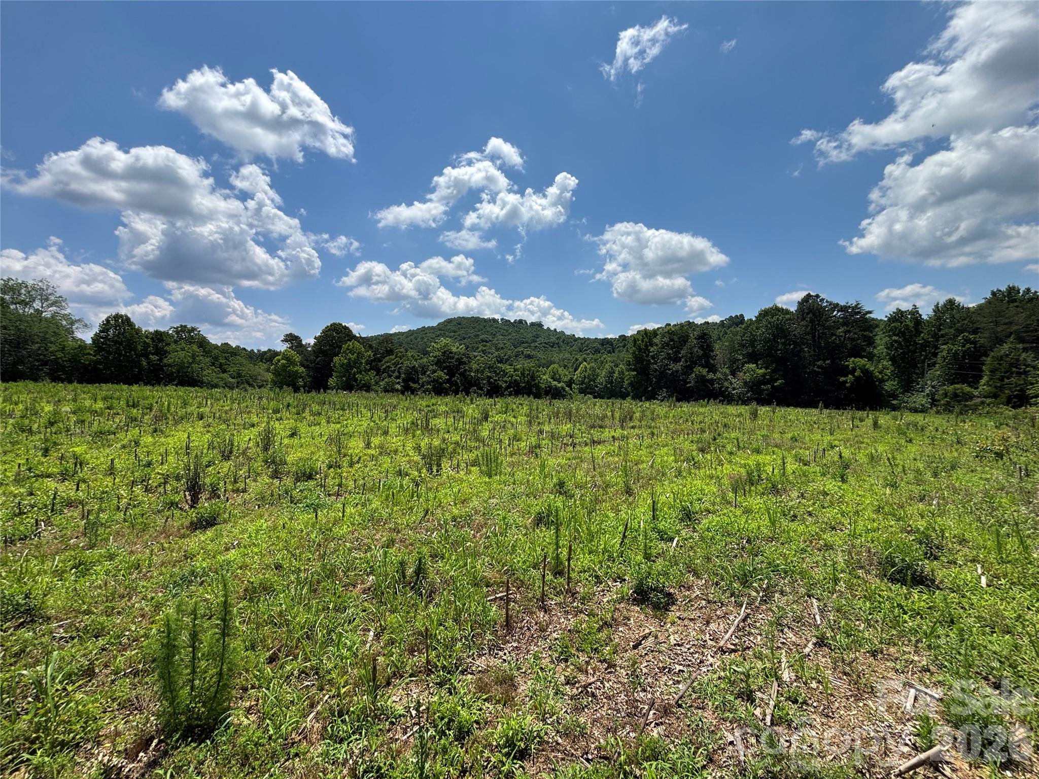 Land in Statesville 4