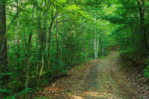 0 Gloryland Way, Murphy, NC, 28906 | Card Image