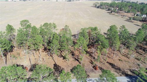 Lot 13 Ne Falcon Avenue, DUNNELLON, FL, 34431 | Card Image