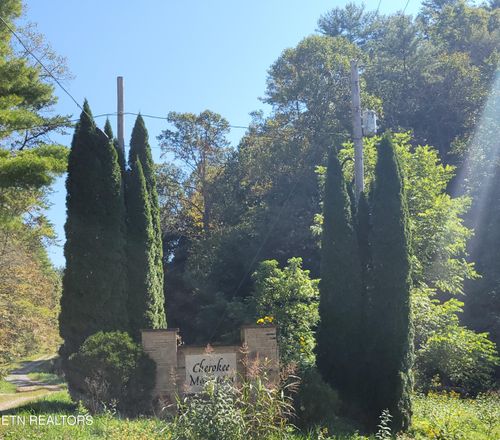 Lot 39 Sugar Maple Way, Del Rio, TN, 37727 | Card Image