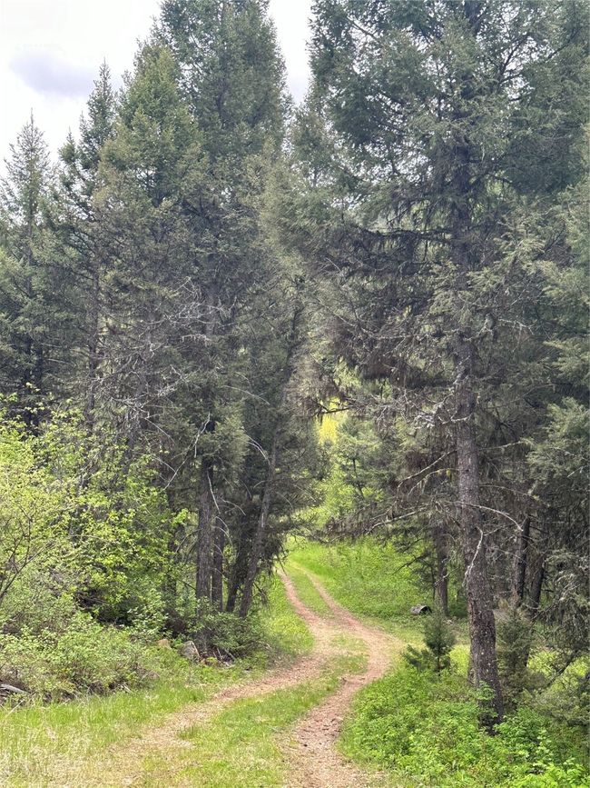 Driveway | Image 15