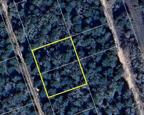 TBD Hickory St, Paige, TX, 78659 | Card Image