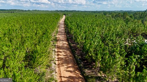 0 Penny Morris Rd, Baxley, GA, 31513 | Card Image