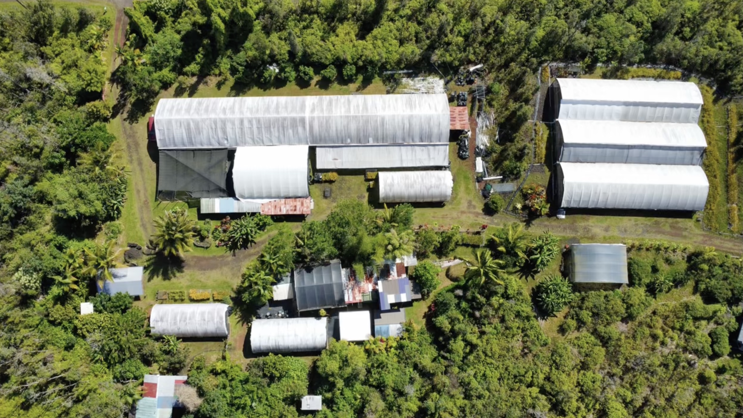Land in Pahoa 3