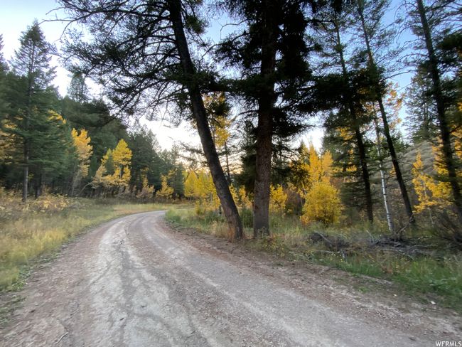 View of road | Image 67