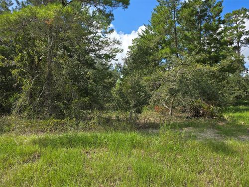 19 Candytuft Court, Homosassa, FL, 34446 | Card Image