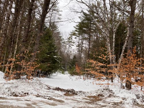 62 Moffitt Rd, Chestertown, NY, 12817-4016 | Card Image