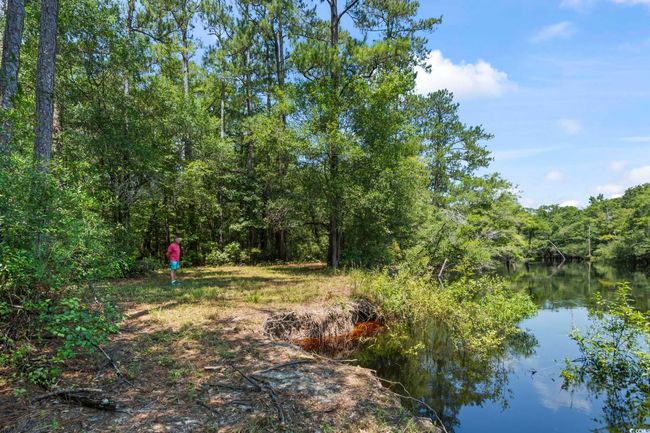 View of yard featuring a forest view and a water view | Image 26
