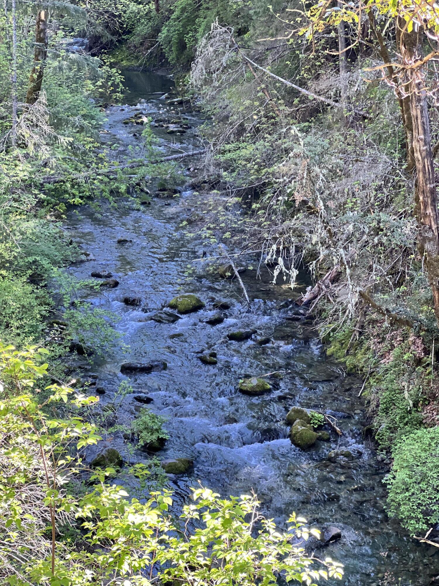 Land in Douglas City 2