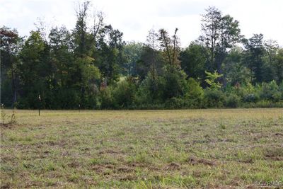 The property lines are clearly marked with T-post and ribbon | Image 2