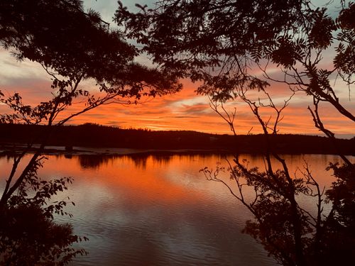 31 Luna Lane, Trescott Twp, ME, 04652 | Card Image