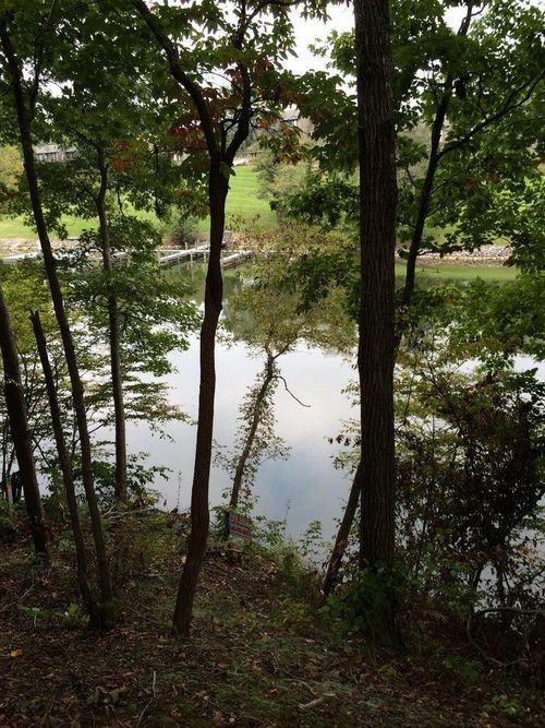 Lot 63 Waterworld Pt, Goodview, VA, 24095 | Card Image