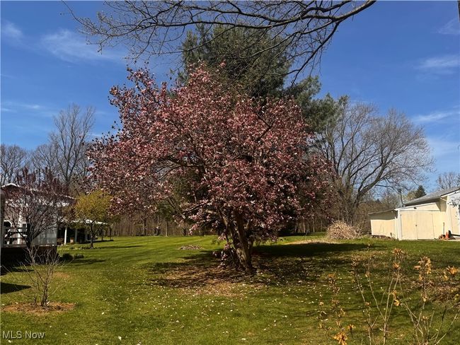 View of yard | Image 33