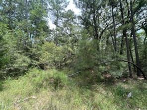 Land in Huntsville 4
