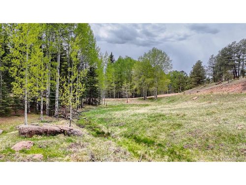 42 Rabbit Cir, Florissant, CO, 80816 | Card Image