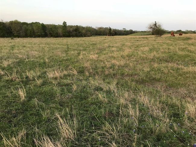5796 Hurtig Rd, Home with 0 bedrooms, 0 bathrooms and null parking in Bleiblerville TX | Image 19