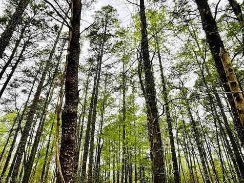 .26 AC Meadowview Lane, Lancaster, VA, 22503 | Card Image