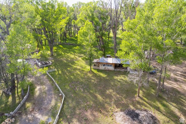 Aerial view of property and surrounding area with a forest | Image 45