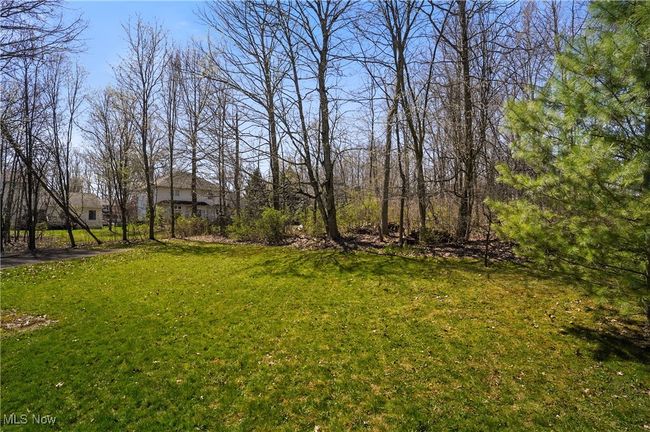 View of yard | Image 47