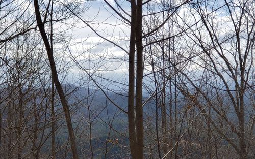 LT 35 Calvender Road, Turtletown, TN, 37317 | Card Image