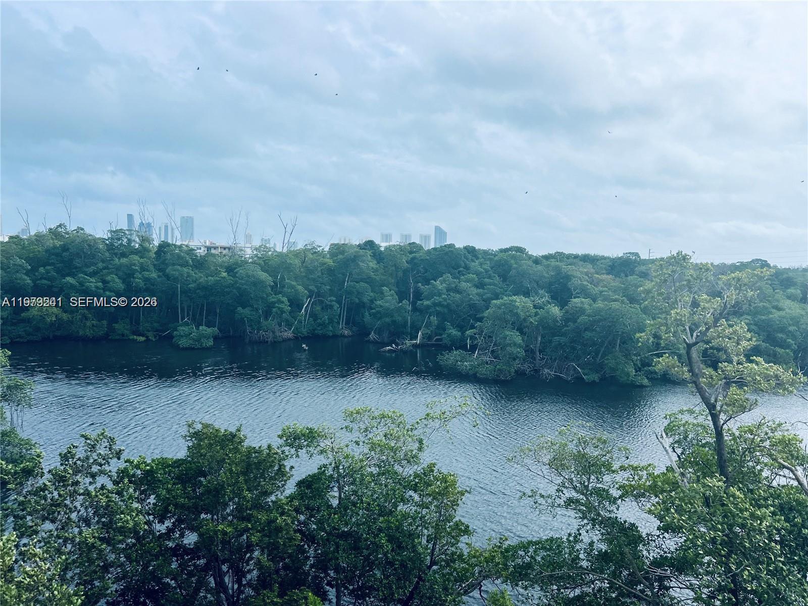 Residential in North Miami Beach 4