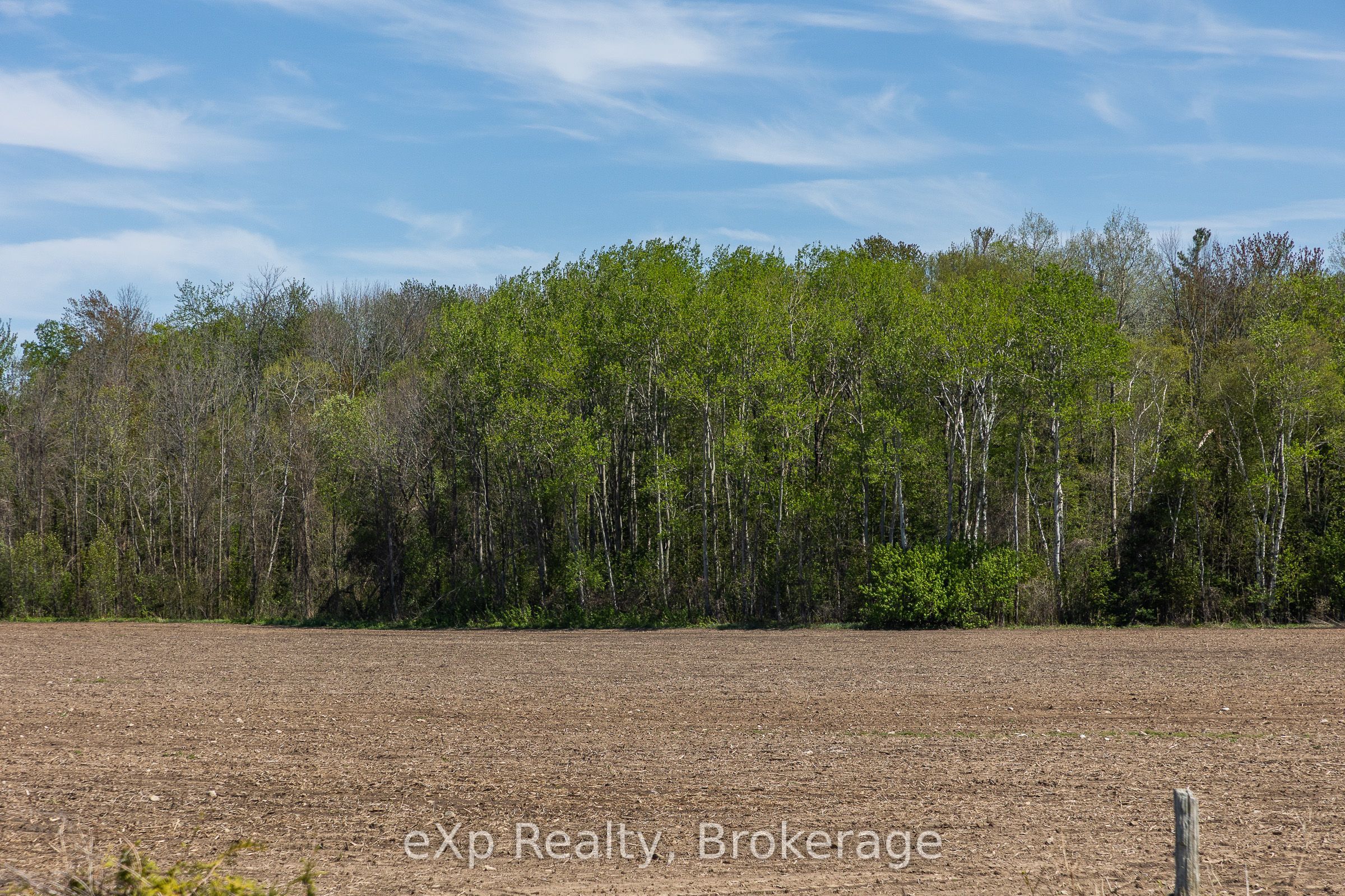 Residential in Clearview 5