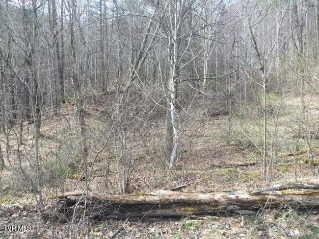 00 Heaton St, Home with 0 bedrooms, 0 bathrooms and null parking in Roan Mountain TN | Image 7