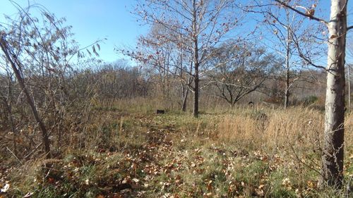 Tbd Ithaca Ln, Neosho, MO, 64850 | Card Image