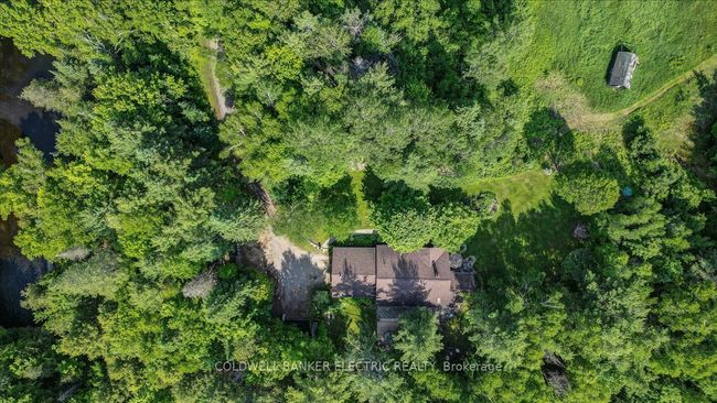 12642 Highway 28, House other with 3 bedrooms, 2 bathrooms and 8 parking in Apsley ON | Image 35