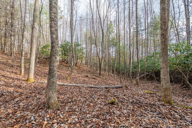 000 Miriam Road, Home with 0 bedrooms, 0 bathrooms and null parking in Dugspur VA | Image 17