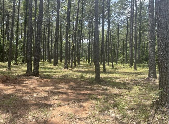 185 Forrest Rd, Home with 0 bedrooms, 0 bathrooms and null parking in Huntington TX | Image 10