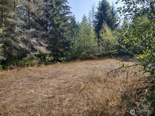 0 Blue Valley Rd, Port Angeles, WA, 98362 | Card Image