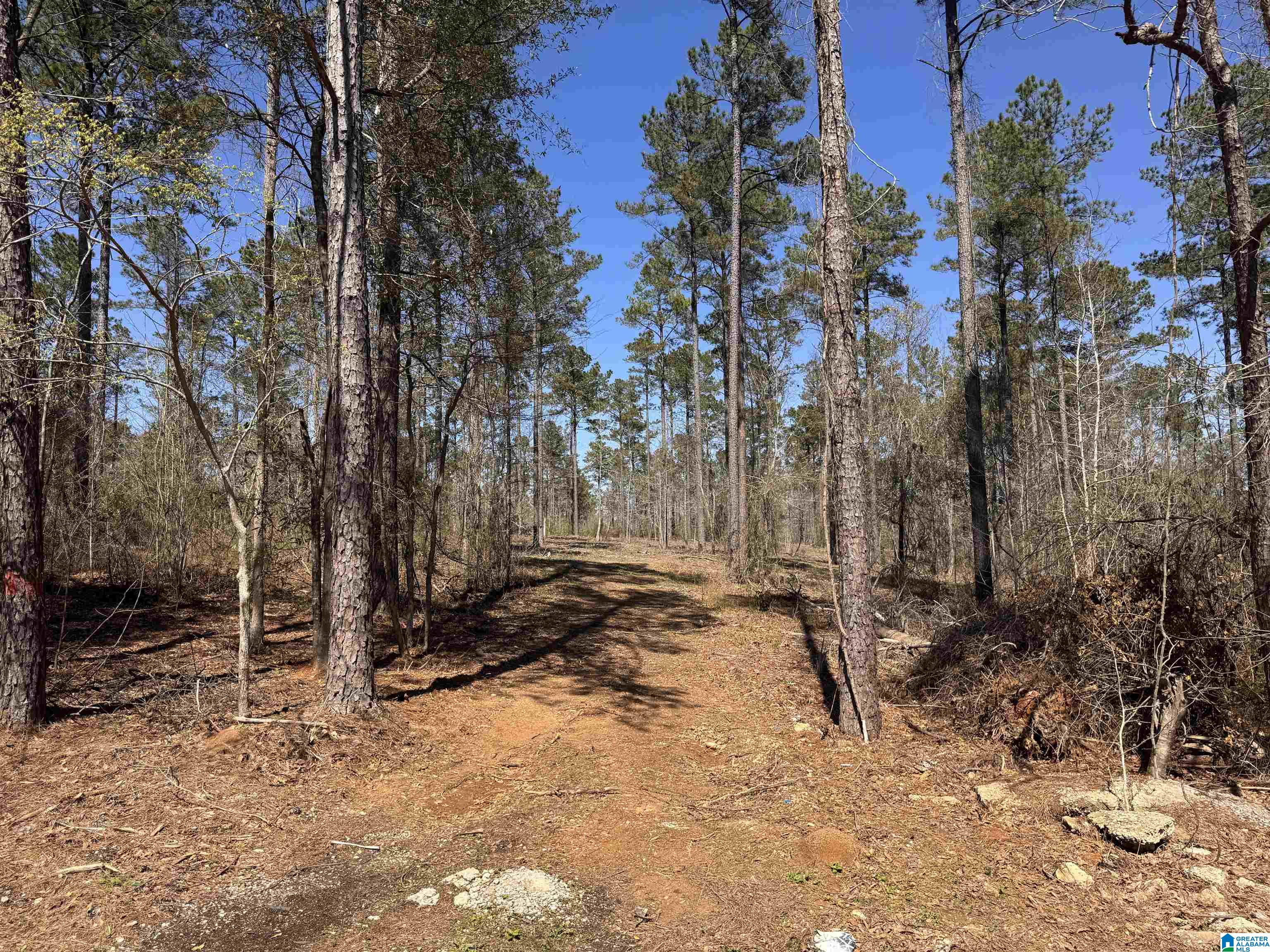 Land in NORTHPORT
