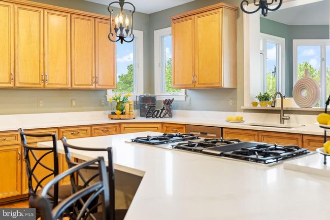 20550 Wildbrook Ct, House other with 6 bedrooms, 6 bathrooms and null parking in ASHBURN VA | Image 12