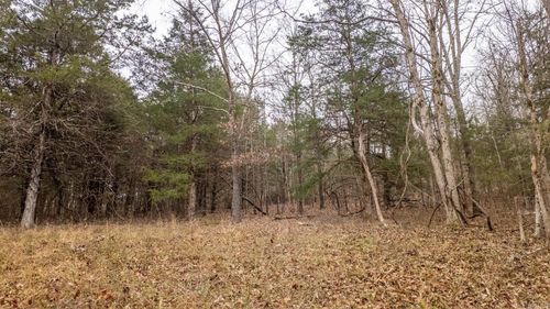 000 Walnut St, Thayer, MO, 65791 | Card Image