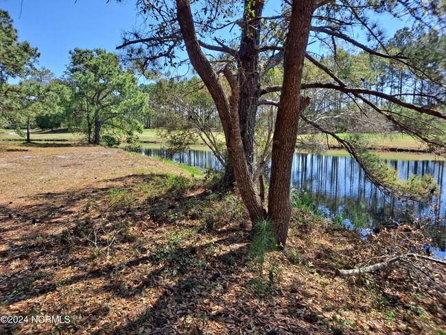 8803 Carenden Ct, Home with 0 bedrooms, 0 bathrooms and null parking in Sunset Beach NC | Image 6