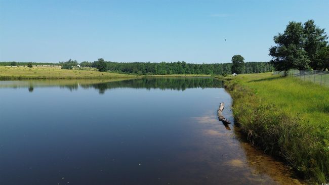 Water view with a forest | Image 21