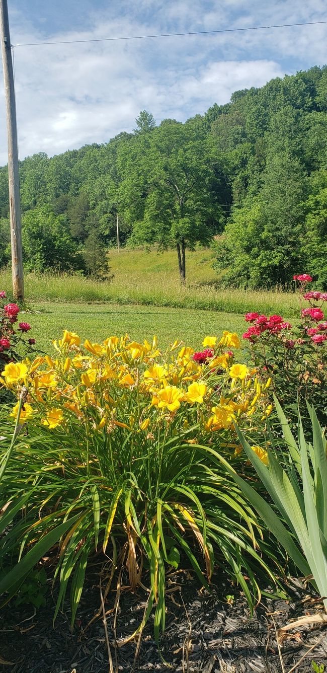49 Je Sartain Rd, Home with 0 bedrooms, 0 bathrooms and null parking in Manchester TN | Image 31