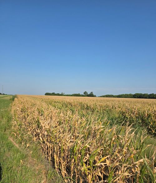 0000 Us Highway 82 E, Honey Grove, TX, 75446 | Card Image