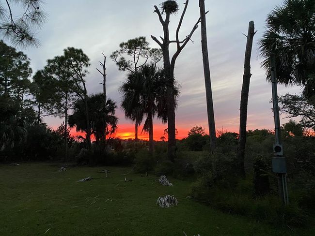 Lot #21 Watson Cir, Home with 0 bedrooms, 0 bathrooms and null parking in CEDAR KEY FL | Image 8