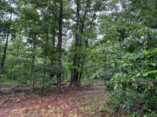 Off Of Morgan Cave Road, Harrison, AR, 72601 | Card Image