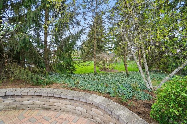 private rear yard | Image 88