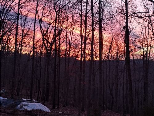 391 County Road 1486, Eureka Springs, AR, 72632-8907 | Card Image